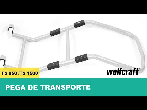 5528000_TS-Carrying-Handle_PRO_MCP_pt_2017.mp4