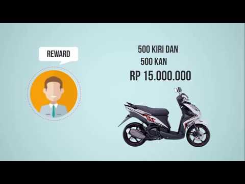 Potensi busur beruang Bagaimana mempertahankan potensi 60 tahun