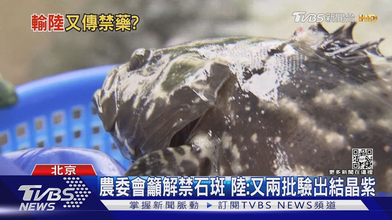 陳時中出面「護漁」　陸國台辦：再驗出禁藥