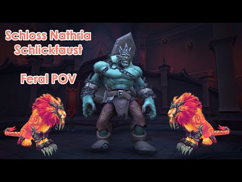 Schloss Nathria Schlickfaust ~ Feral Druid POV