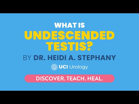 What is Undescended Testis? By Dr. Heidi A. Stephany - UCI Department of Urology