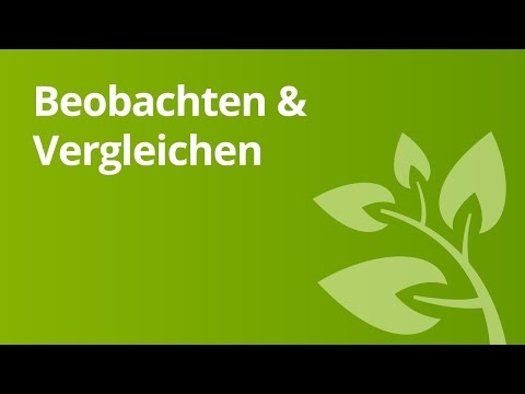 Beobachten, vergleichen, protokollieren – Methoden | Biologie | Biologie - eine Naturwissenschaft