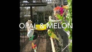 Home life is the slow life. Music: DJ Koze - Royal Asscher Cut