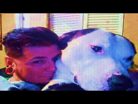 Voice Comparison and Information on James Brian Chadwell #delphimurders