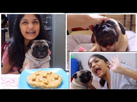 BAKING A CAKE FOR MY DOG | Dexy's 3rd birthday vlog 🐾❤️