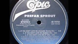 If You Don't Love Me (Future Sound Of London Stateside Swamp Mix) - Prefab Sprout