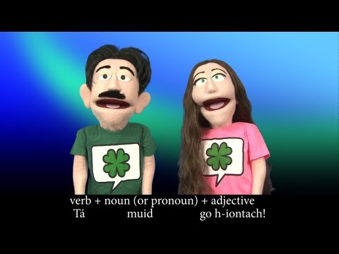 Irish Lesson #2 - Making Basic Sentences