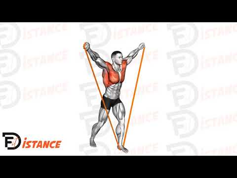 Exercice Élévations latérales complètes avec élastique