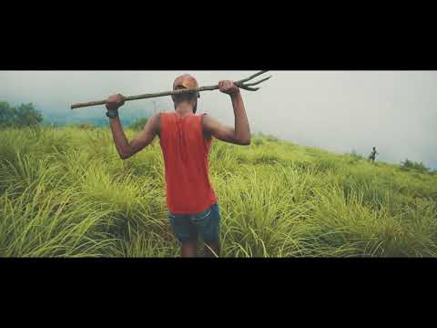 Idukki Gold (Manikya cherakulla)