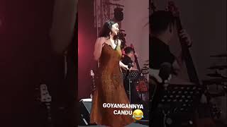 Download lagu GOYANGAN ARIEL TATUM BIKIN CANDU❗️❗️❗️#viral #artist #arieltatum #goyang #hot mp3