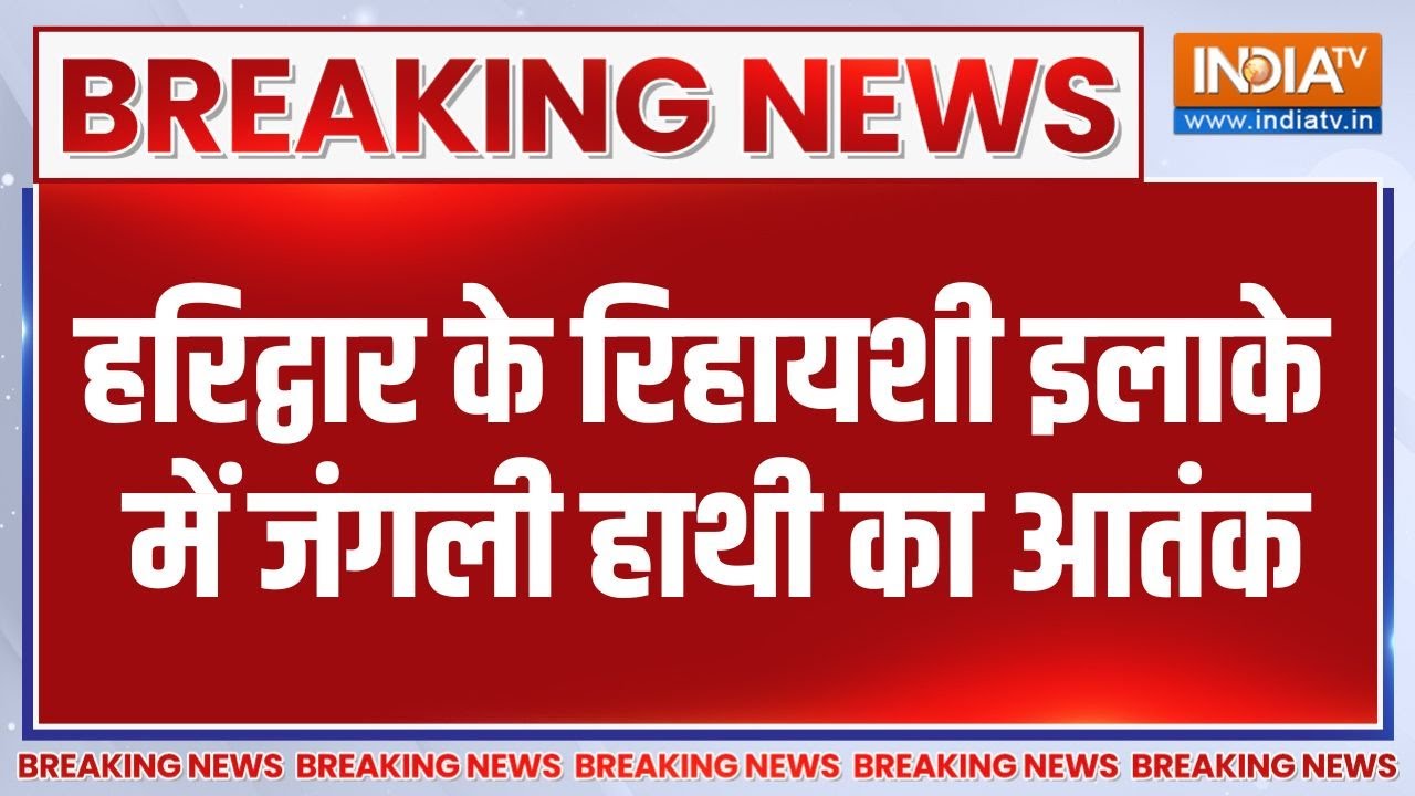 Breaking News: हरिद्वार के रिहायशी इलाके में जंगली हाथी का आतं