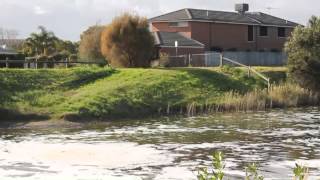 preview picture of video 'Frankston TV presents Learning to Protecting Our Beautiful Bay'