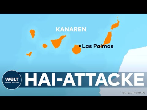 KANAREN: Tödliche Haiattacke! Deutsche Urlauberin (30) stirbt nach Angriff im Atlantik