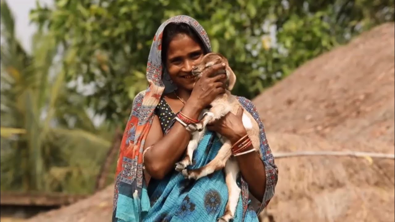 In Rural India, Women Lead the Way to Improve Livelihoods