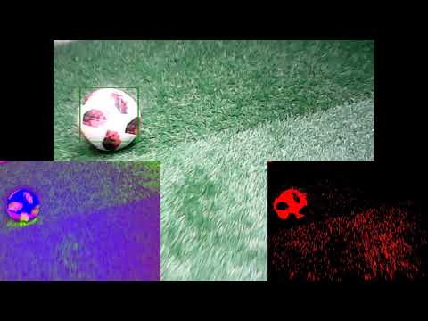 Electric Sheep RoboCup Kid-Size Soccer Qualification 2019