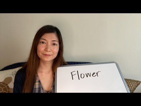 How to pronounce Flower