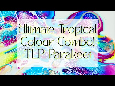 #394 Ultimate Tropical Fluid Art Colour Combo! Collab w/@Sheleeart @NikiDArt  @rainandpours