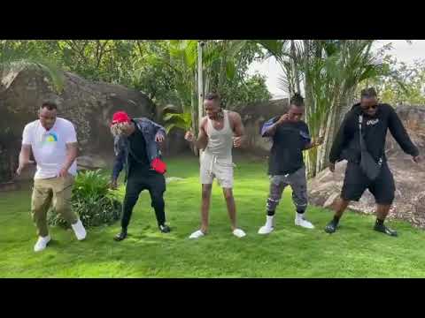 Baba Levo ft Diamond Platnumz x Rayvanny x Mbosso x Lavalava_-_Woza music dance challenge