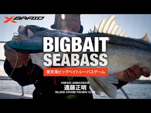 【コノシロパターン完全攻略】大人気船長が解説！東京湾ビッグベイトシーバスゲーム