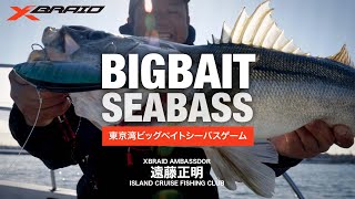 【コノシロパターン完全攻略】大人気船長が解説！東京湾ビッグベイトシーバスゲーム