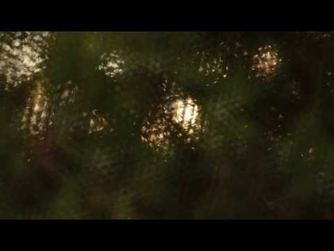 Rescue of a Trioplan 50mm f2.9 with broken aperture