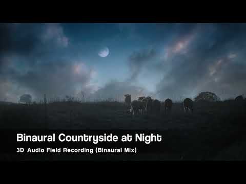 Audio spatial 3D 01 vignette