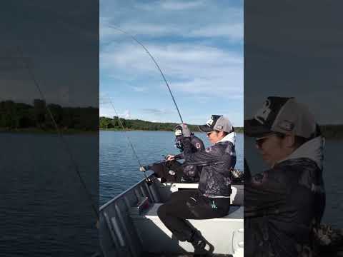 Pescaria de Barbado no Rio Paranaíba em Corumbaiba-Go