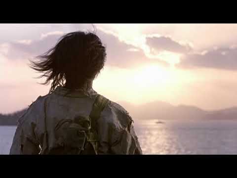 Fighter in the wind Stam1na Tavastia palamaan karate clip