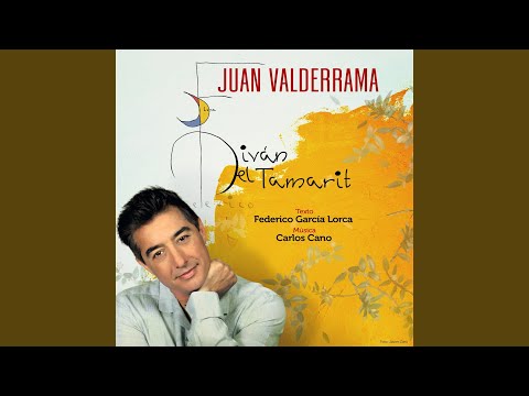 GACELA DEL AMOR QUE NO SE DEJA VER