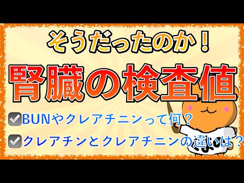 クレアチン: クレアチンとは何なのか、何のためにあるのか、そしてどのように使用するのか