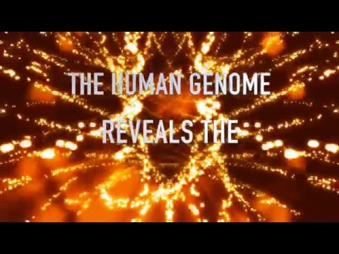 The Human Genome Oracle