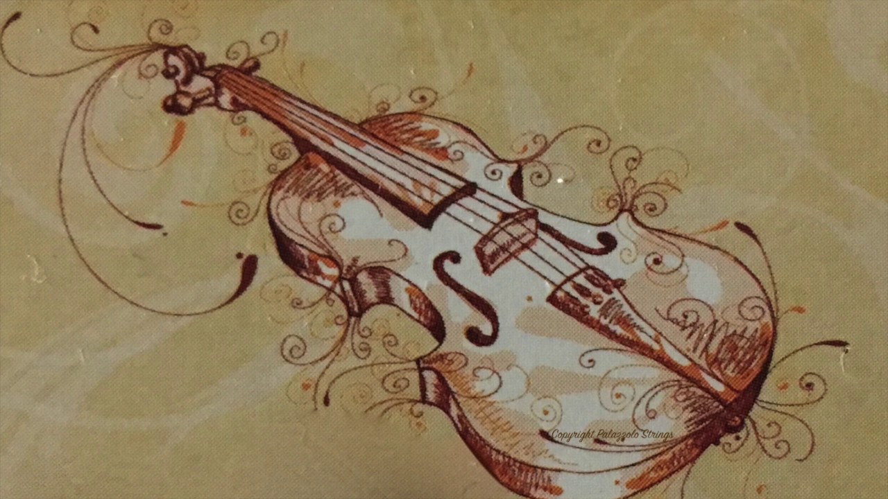 Promotional video thumbnail 1 for The Palazzolo Strings