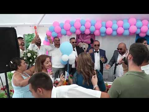 DENIS MARKOVIC PAPUN - SPLET PESAMA  | UZIVO |