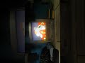 Opening To Barney Lets Go To The Zoo Vhs