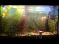 Niespodziewany Restart 260 L