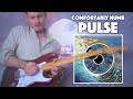 THE ABSOLUTE BEST GUITAR SOLO EVER (Comfortably Numb PULSE UNCUT Cover)