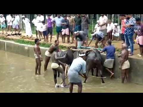 16/5/2022 ഇടപ്പൂട്ട്...