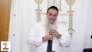 רוצים פרנסה? איך מצליחים? - הרב יגאל כהן HD - שידור חי מיהוד