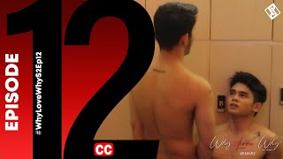 WHY LOVE WHY S2 EP12 (FULL VERSION) | #WhyLoveWhyS2Ep12 #BLSeries video