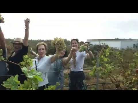 A special day, with these great people in the #18Grapesvineyard