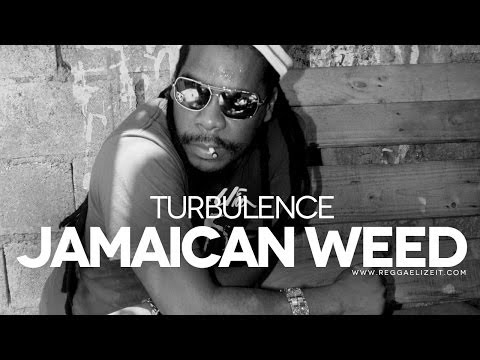 Turbulence - Jamaican Weed (Reggae Attack Babylon Riddim) - Granite Productions - February 2014