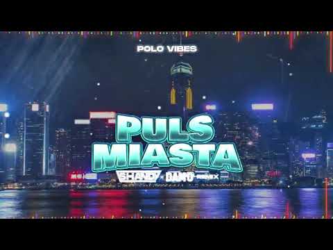 POLO VIBES - PULS MIASTA (SHANDY & DAMO OFFICIAL REMIX) #viral #hit