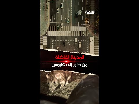 شاهد بالفيديو.. كيف انتهت تجربة المدينة الفاضلة التي تصورها أفلاطون ونفذها جون كالهون !