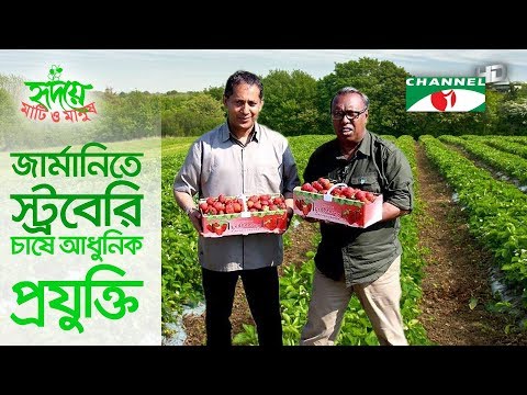 download lagu mp3 mp4 Strawberry Farm In Germany, download lagu Strawberry Farm In Germany gratis, unduh video klip Strawberry Farm In Germany