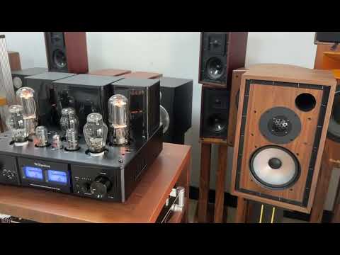Willsenton R-800i 300B 845 tube amplifier demo with SoundArtist SC8B speakers