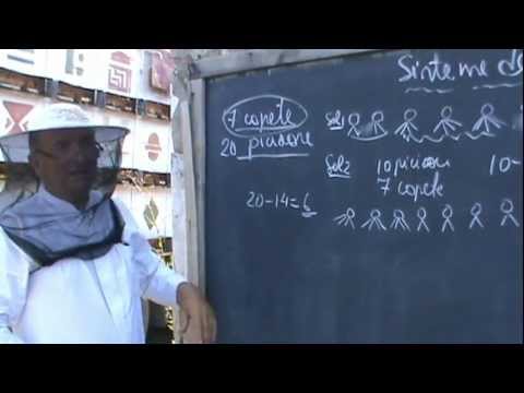1. Bazele Matematicii: Lectia 38 - De ce se fac sisteme de ecuatii? 1/4