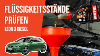 Youtube thumbnail of video "Die Flüssigkeitsstände prüfen Leon 3 1.6 TDI 📏"