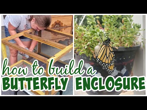 Outdoor Butterfly Cage for Raising Monarch Caterpillars - EASY DIY build using an old side table