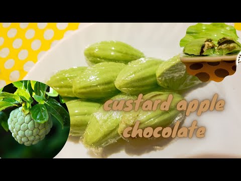 custard apple chocolate || sitafal chocolate || flavourchocolate #2 || chocolate club