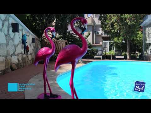 Bahar Hanım — video kapak görseli